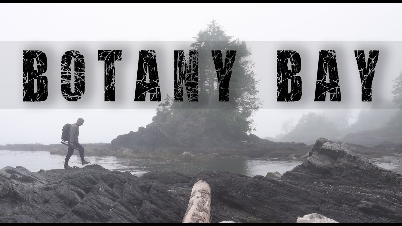 HOW I FOCUS STACK / The Twisted Forest