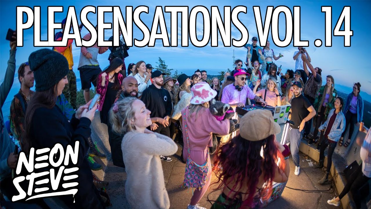 Neon Steve - Pleasensations Vol.14 - DJ Set