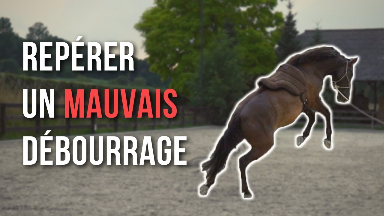 DÉBOURRAGE RATÉ : COMMENT SAVOIR ?