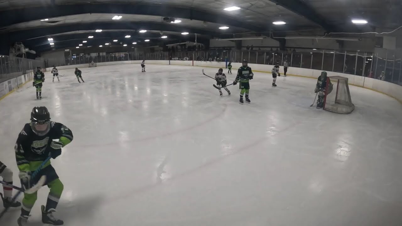 Indy Fuel Red v. Fort Wayne Force Green AA (Governor's Cup - Game 2)