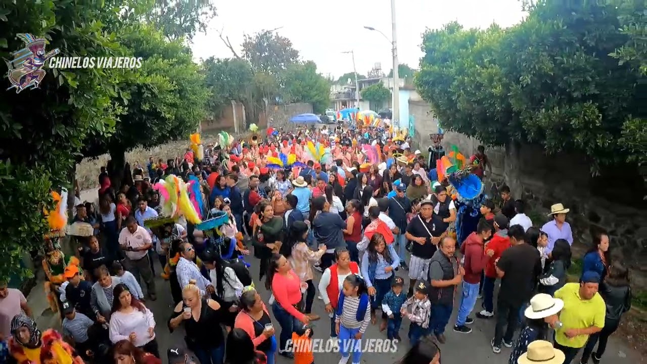 El son del Pulquito y el Son de las Reinas | Banda la Mera Mera