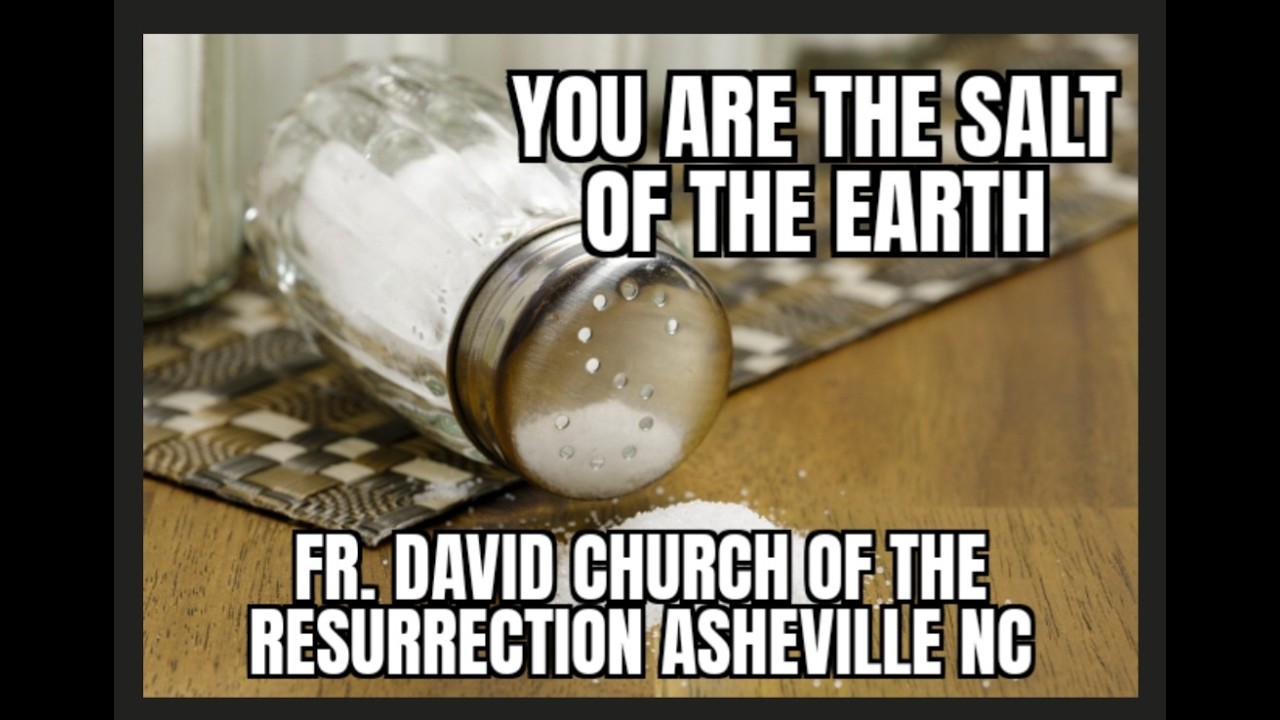 You Are the Salt of the World Father David 02 08 26