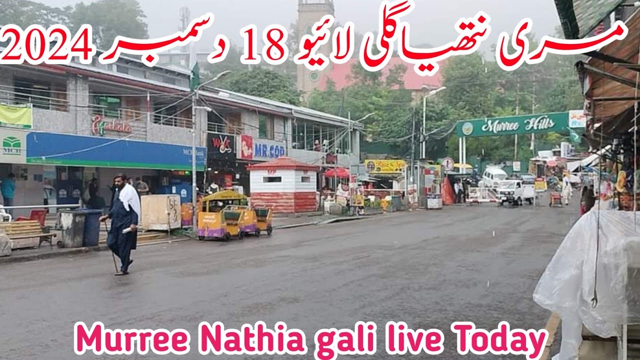 Murree live today | Nathia gali today | #murree #snowfall update | murree weather #2024
