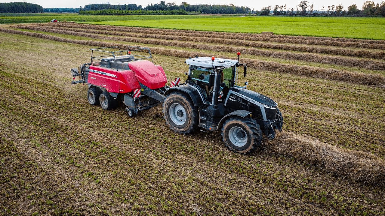 🇫🇷 Du foin en Août 🤯! 8s265 Black & Massey Ferguson 2270xd | SAS Monnin Agri TP 🚜