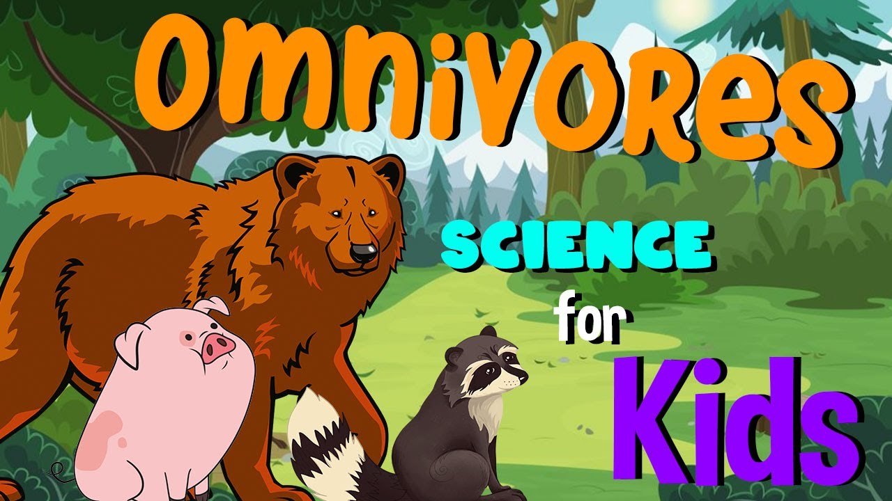 Omnivores | Science for Kids