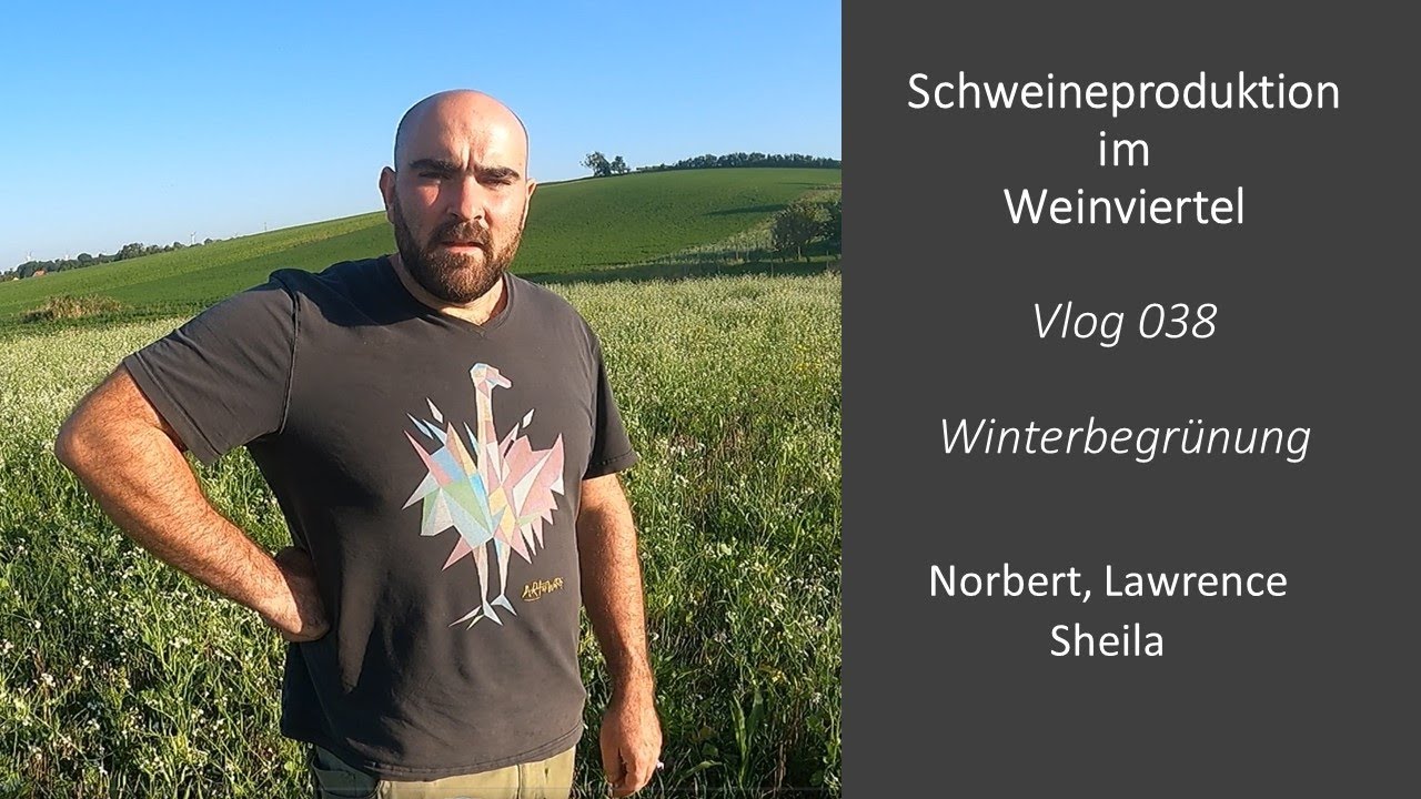 Vlog038 Winterbegrünung