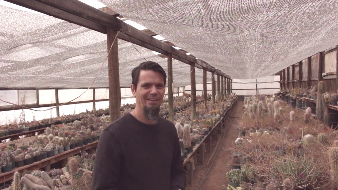 Seed soil mix for cacti and succulents