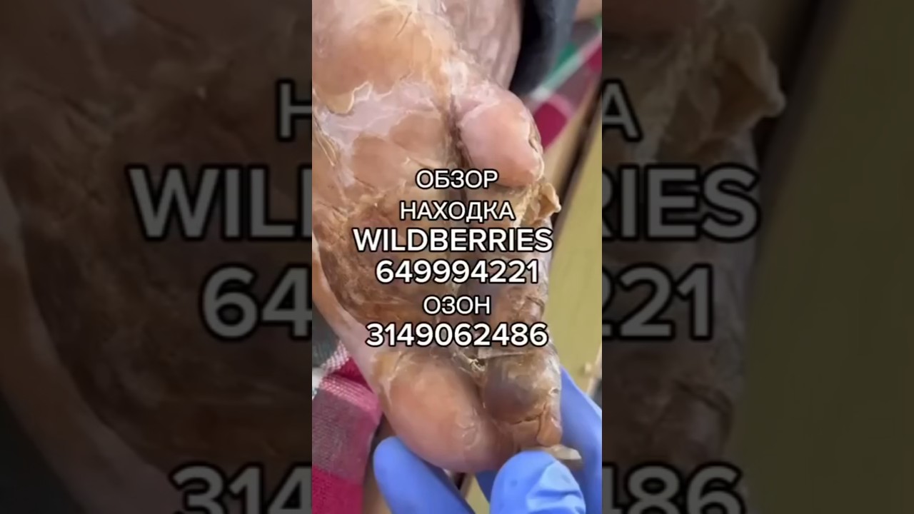 Артикул Вайлдберриз 649994221 Озон: 3149062486 