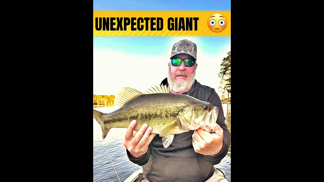 Unexpected Giant Bass on a “Numbers” Lake 🎣😳/ East Texas Lakes ....
