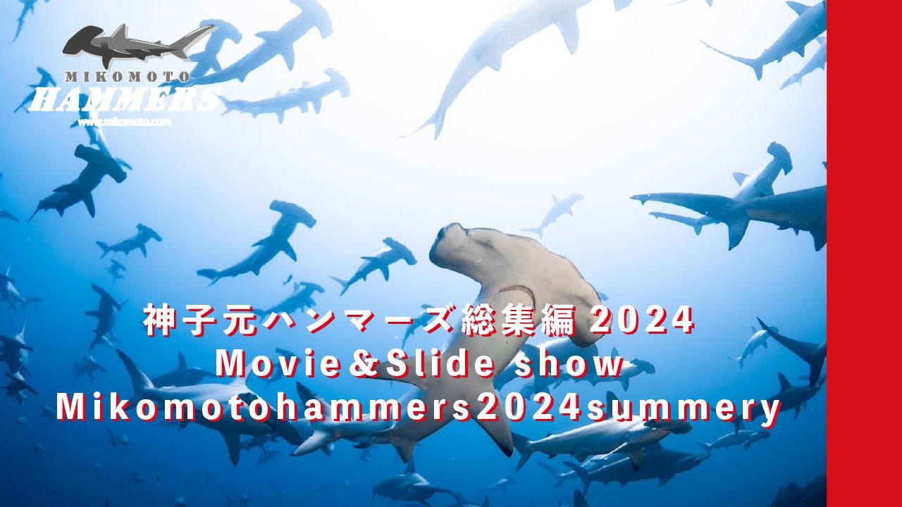 2024年神子元総集編Movie&Slideshow!