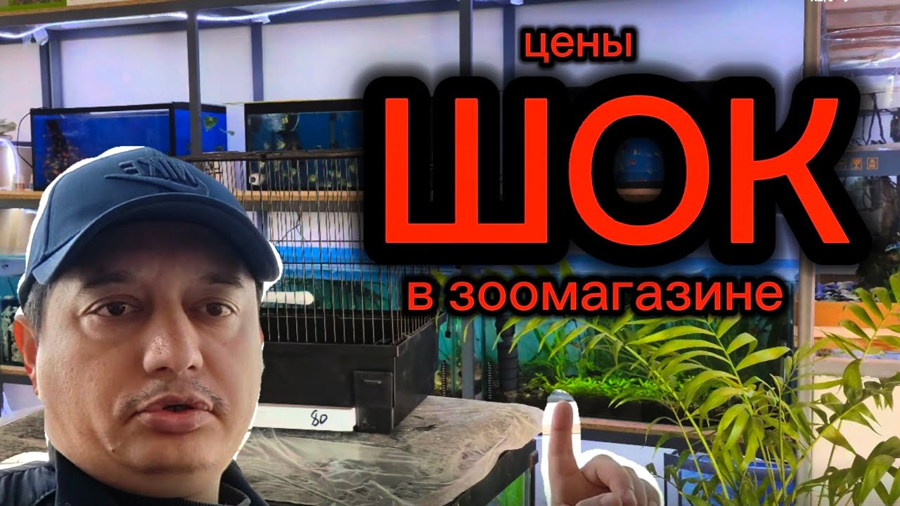 Шок!!! Цены в зоомагазине.
