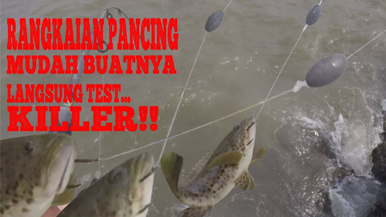 Cara Buat Rangkaian Pancing Kerapu Untuk Mancing Di Spot Pantai Berbatu : Killer Beach Fishing Rig