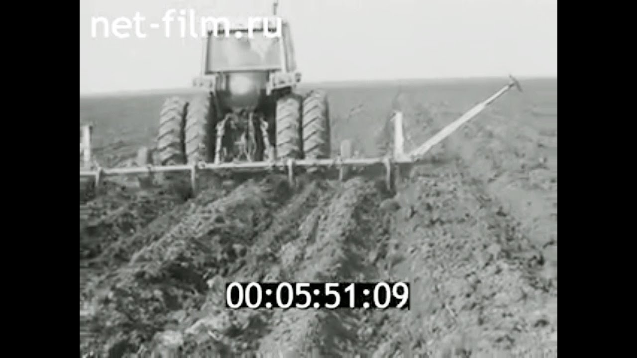 1985г. совхоз имени Мичурина. Молдавия