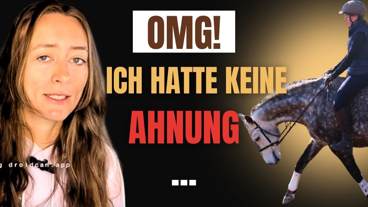 Normal ist nicht gleich richtig – was klassisch korrektes Reiten wirklich bedeutet!