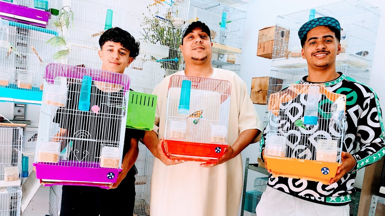 زيارة خفيفة عند الصديق رضى الطفل المولوع 🥰الطيور المعروضة للبيع🦜🦜 رقم الهاتف:0675164354