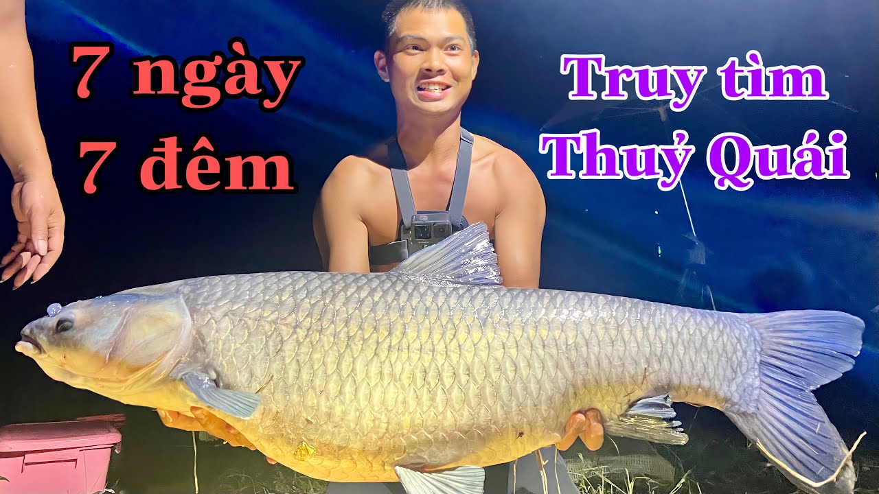 7 Ngày Đêm Ròng Rã Thu Phục Trắm Đen Siêu Khủng ( tập 2 )