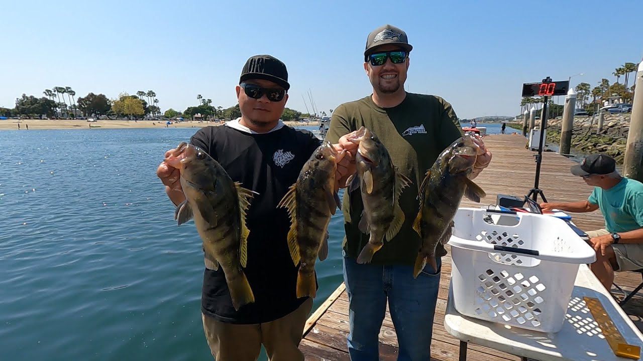 Saltwater Bass Series Round 4 from Alamitos Bay...Night Biting Sandbass and a Limit!