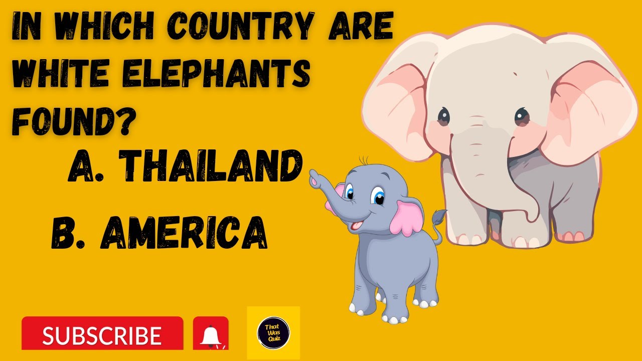 In Which Country  are White Elephants found ?#white #whiteelephant #animals #thailand #america
