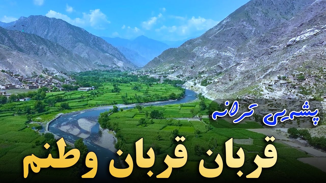 پشه‌يي ترانه | قربان قربان وطنم، شاعر: محمدهاشم هاشمي، غږ: محمدهاشم هاشمي