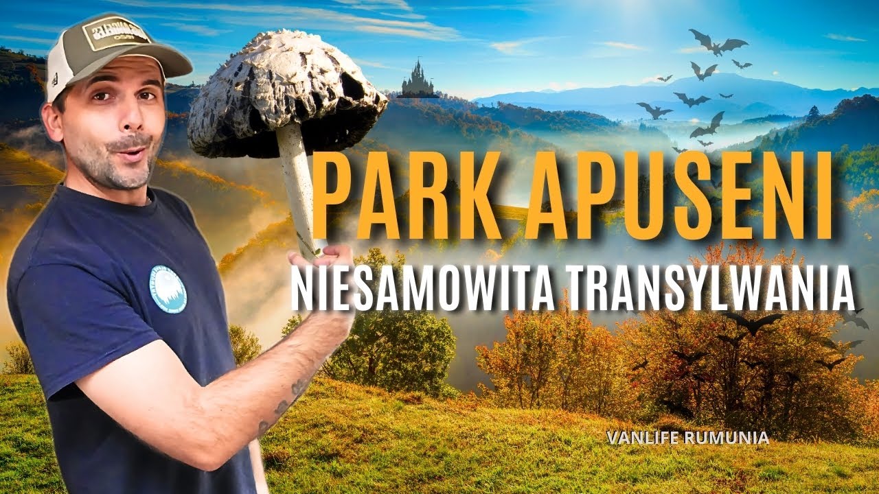 Co kryje się za granicą Parku Apuseni?! TAJEMNICZY ŚWIAT TRANSYLWANII #TajemniceTransylwanii