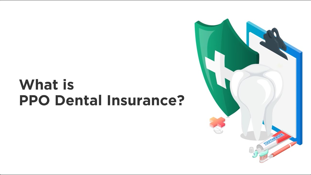 PPO Dental Plans Explainer Video