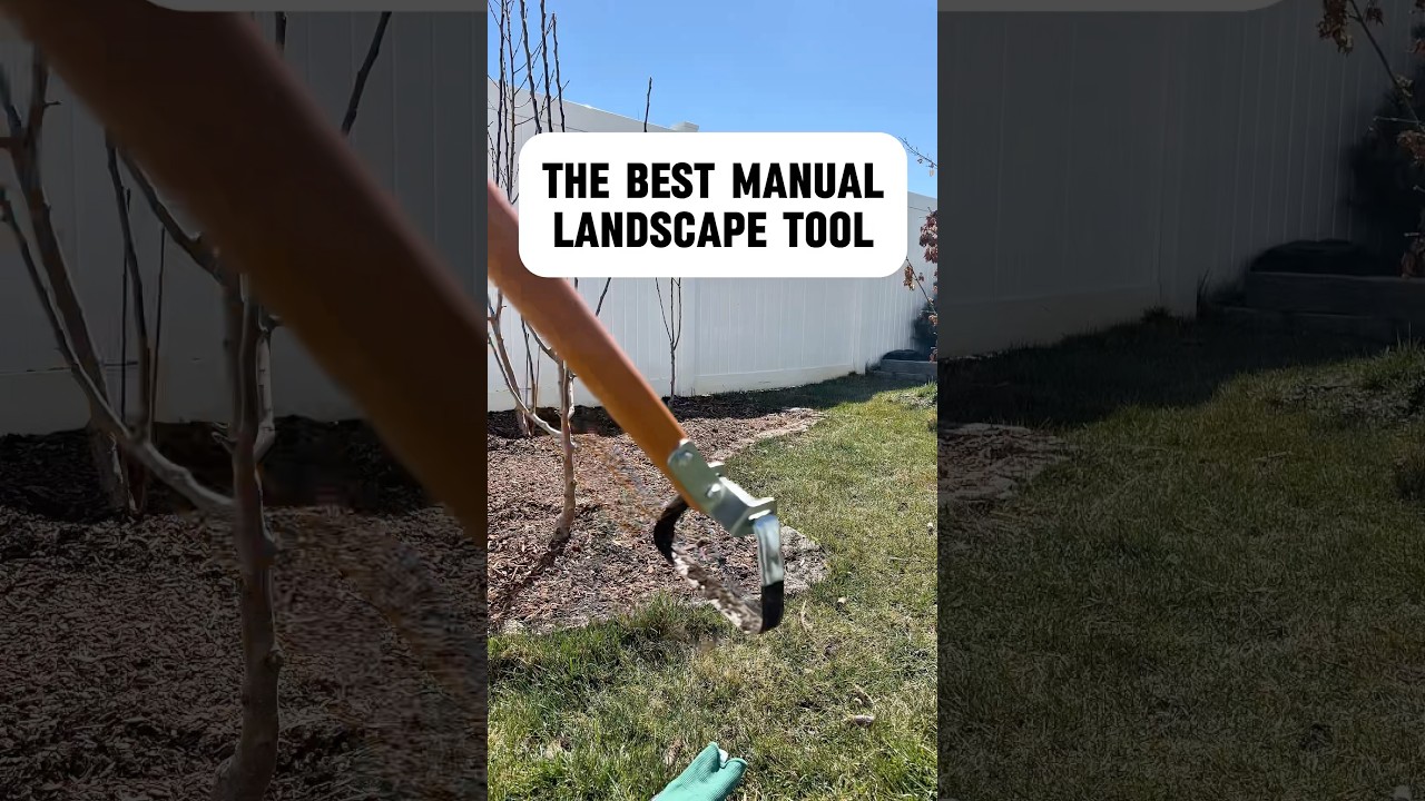 The Best Manual Weeding Tool? Stirrup Hoe Power in Action!