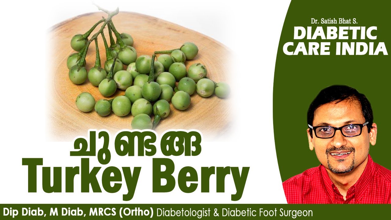 ചുണ്ടങ്ങ Turkey Berry | Dr.Satish Bhat's | Diabetic Care India