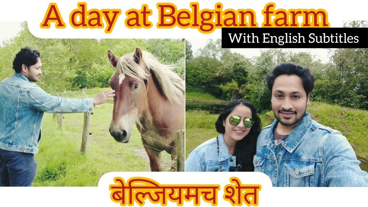 Belgian farm visit|बेल्जियमच शेत| Fun activities,Farm products,Sheep shearing,Honey making process|