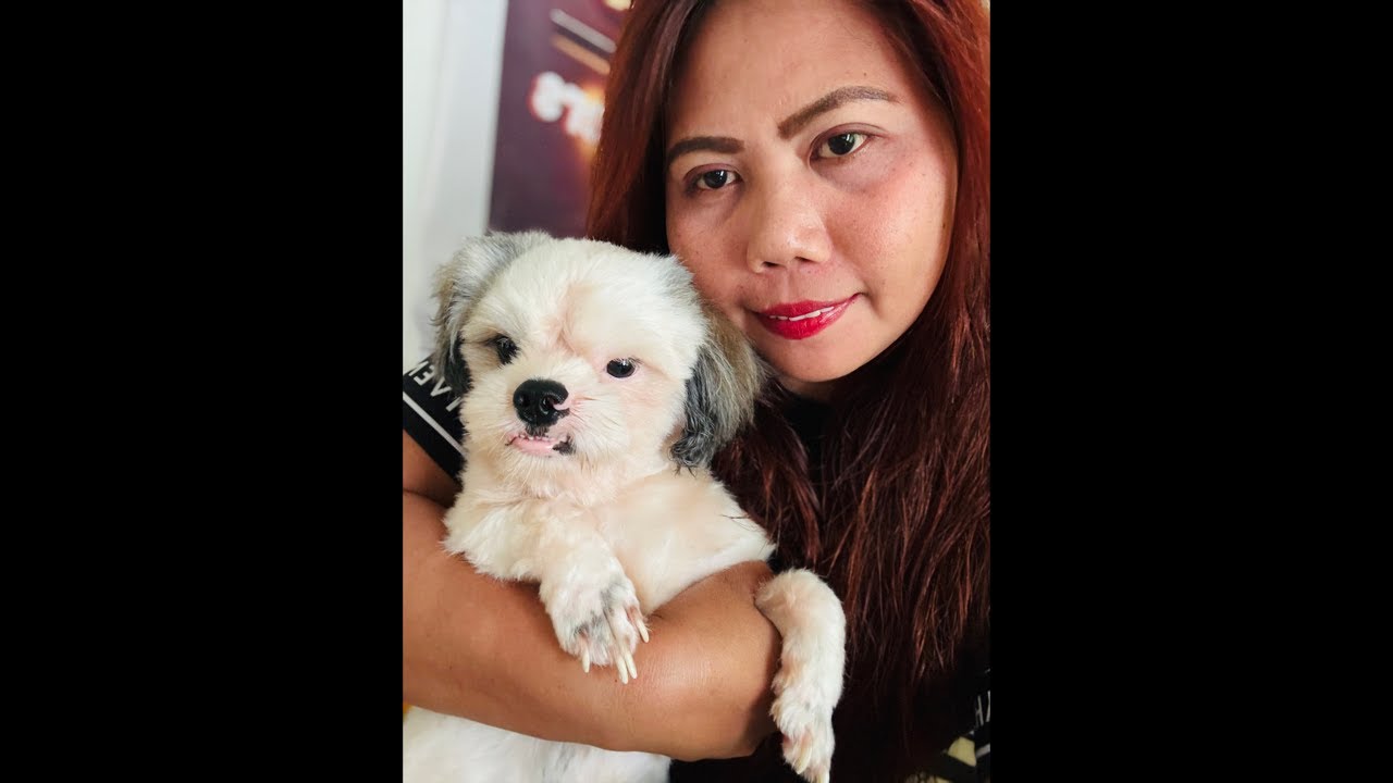 MAGANDANG HAPON PO!