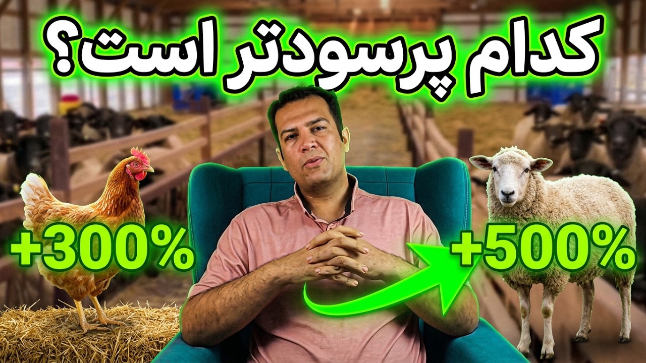 پرورش کدام حیوان سود آور تر است , سود پرورش گوسفند یا پرورش مرغ , مرغداری یا دامداری