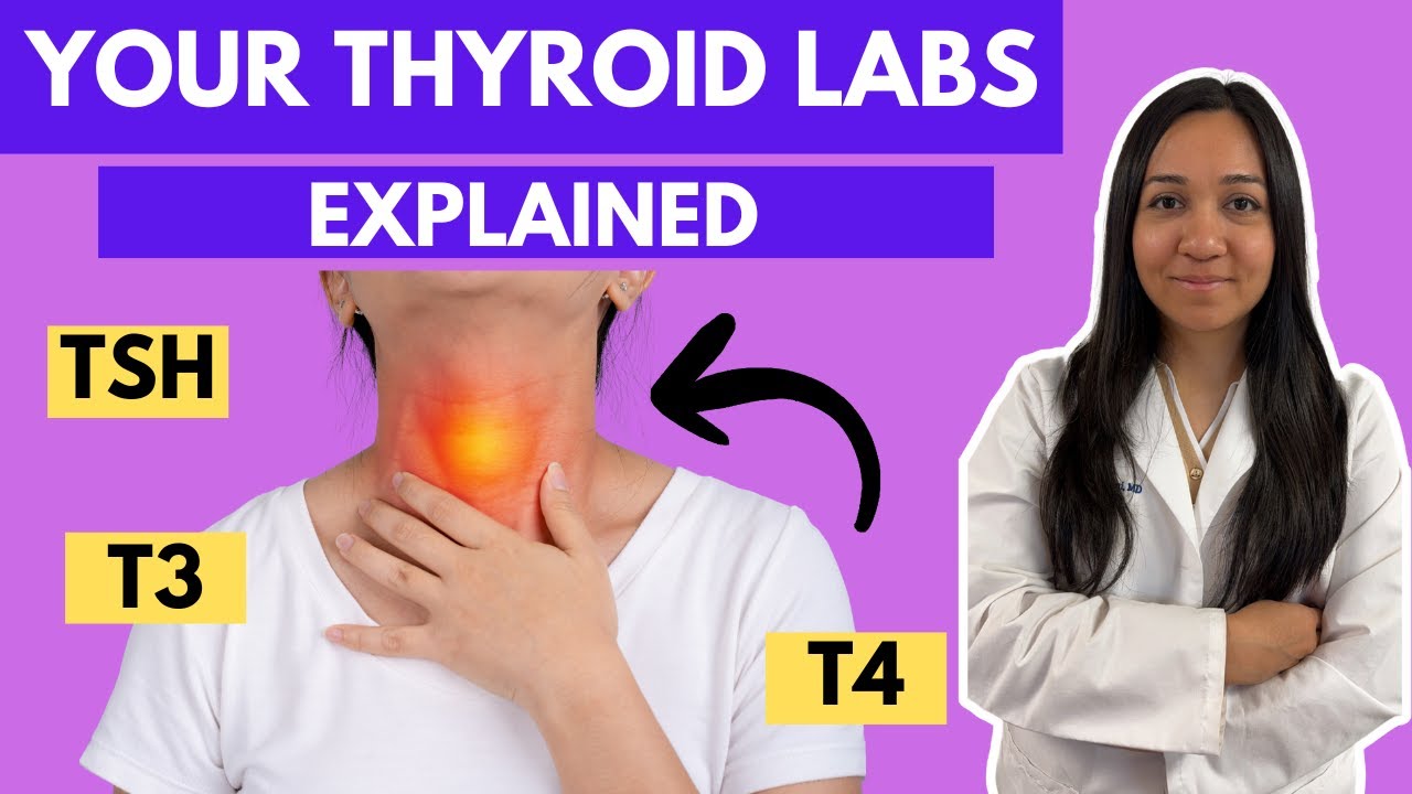 Your thyroid labs explained