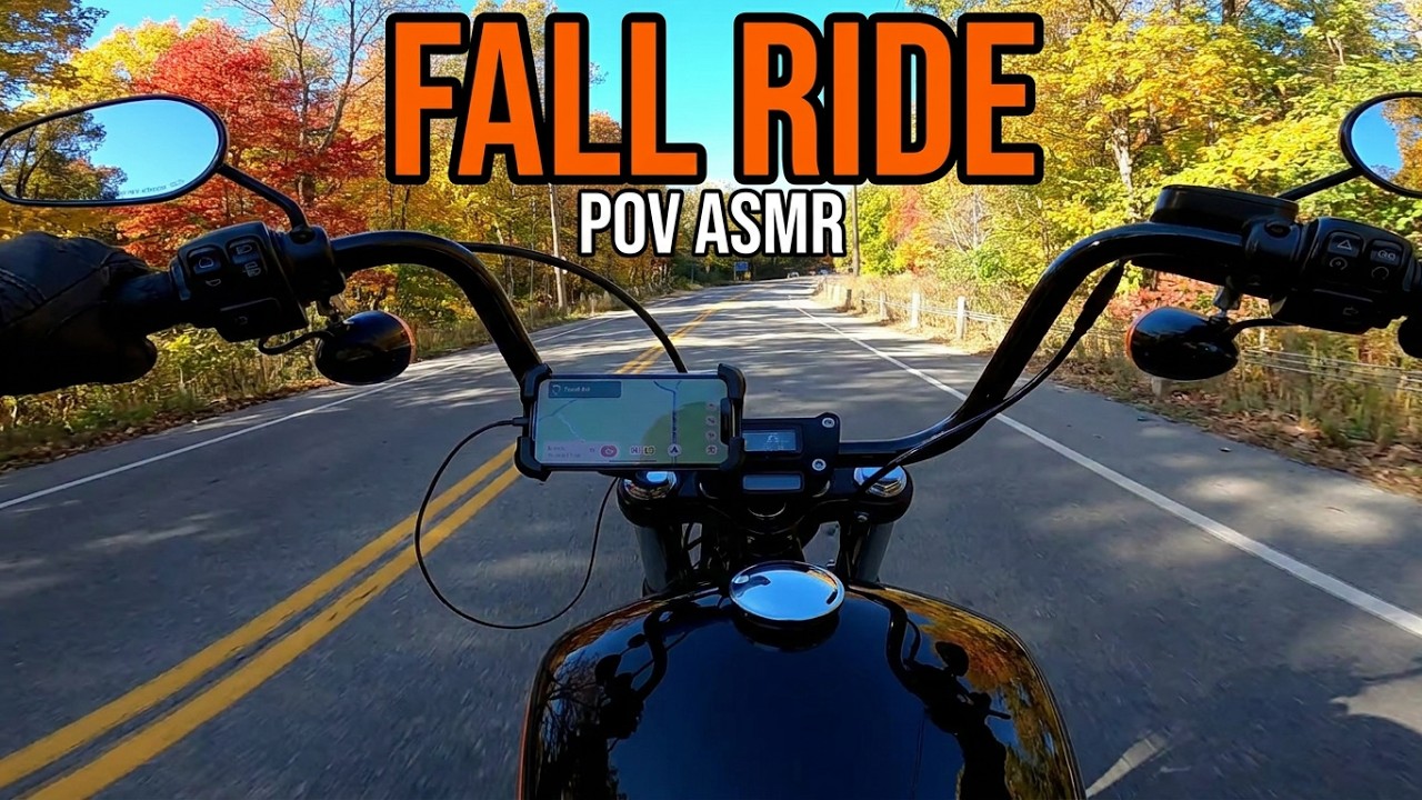 Engine Sound Only: POV Turkey Point Beach to St Williams on a Harley | Fall Colors | ASMR