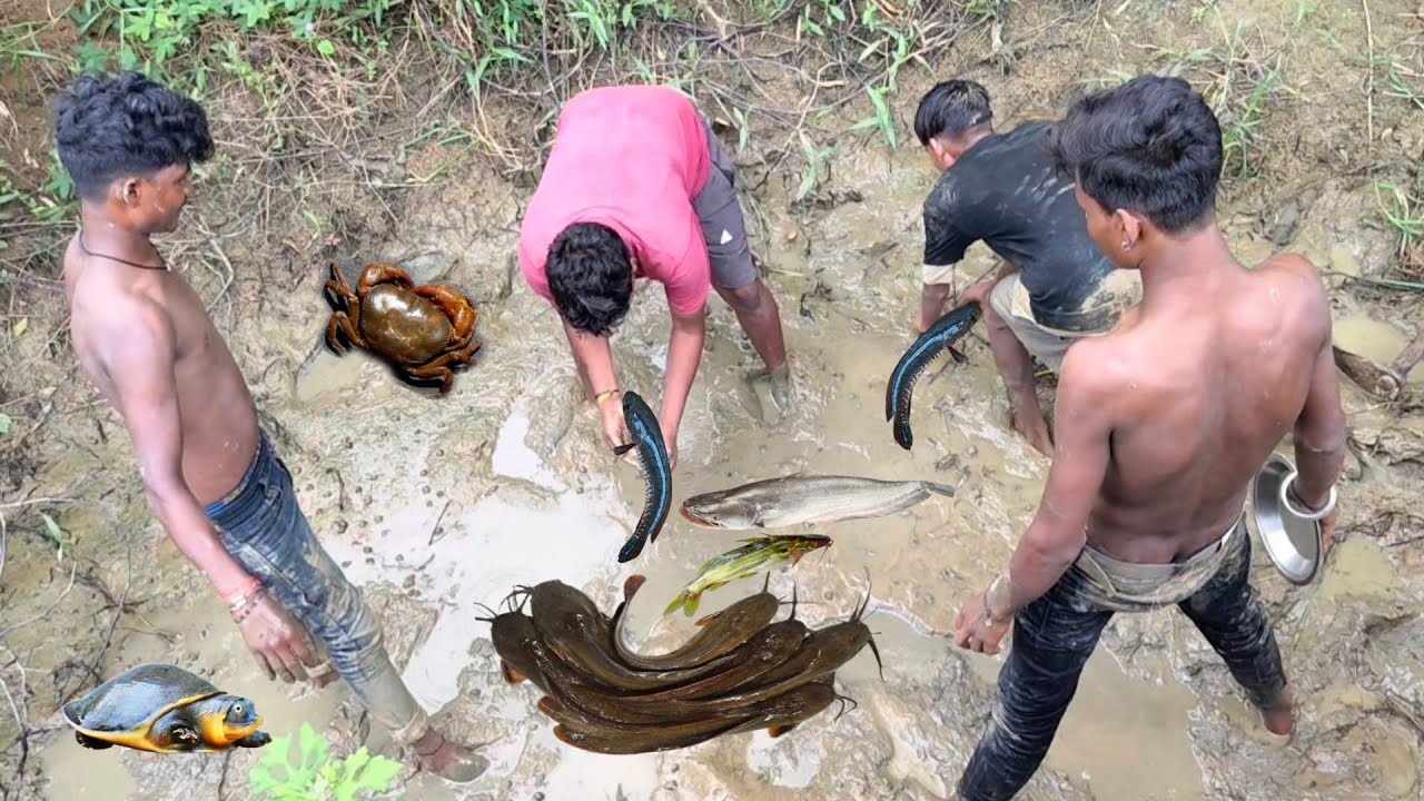 देशी तरीका - मछली शिकारी | Deshi fishing | Village fishing catch 🪝#viralvideo #fish #vlog 