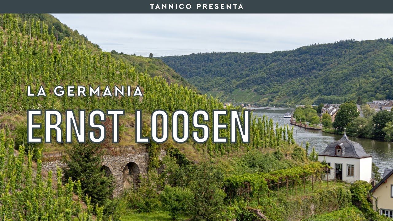 Ernst Loosen tra archeologia e Grand Cru | Tannico Flying School