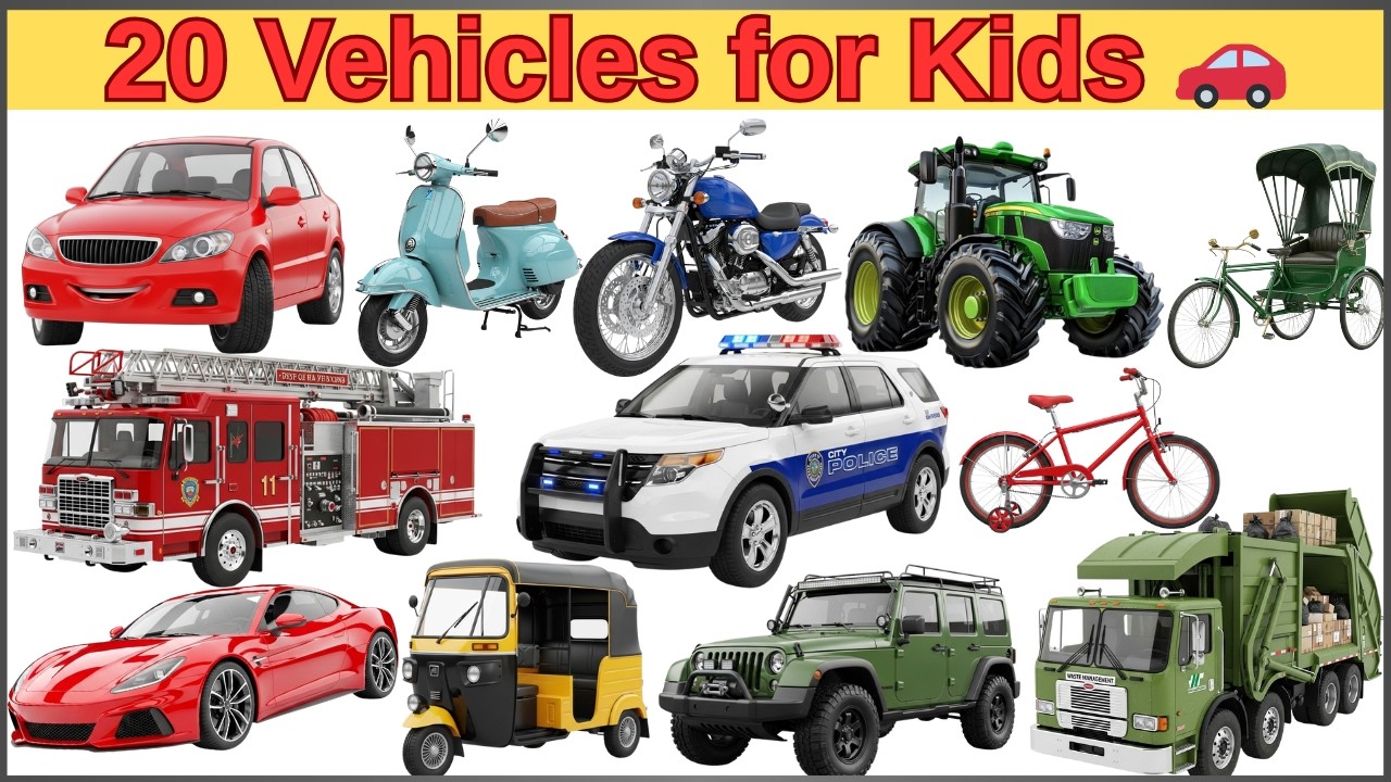 Vehicle Names for Kids 🚗 | Types of Vehicles in English & Hindi | Transport Vocabulary with Pictures