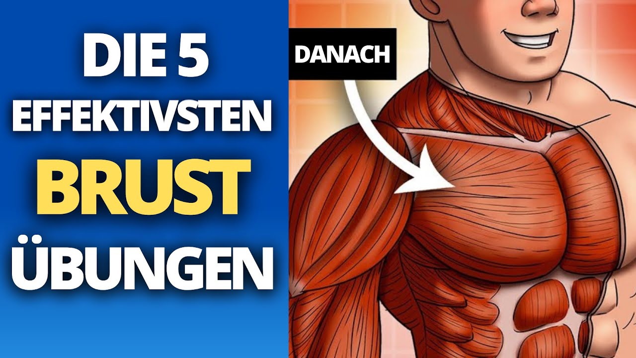 Die besten Brust &Uuml;bungen | Brust Training mit Hanteln und Kabelzug | Brustmuskel Workout