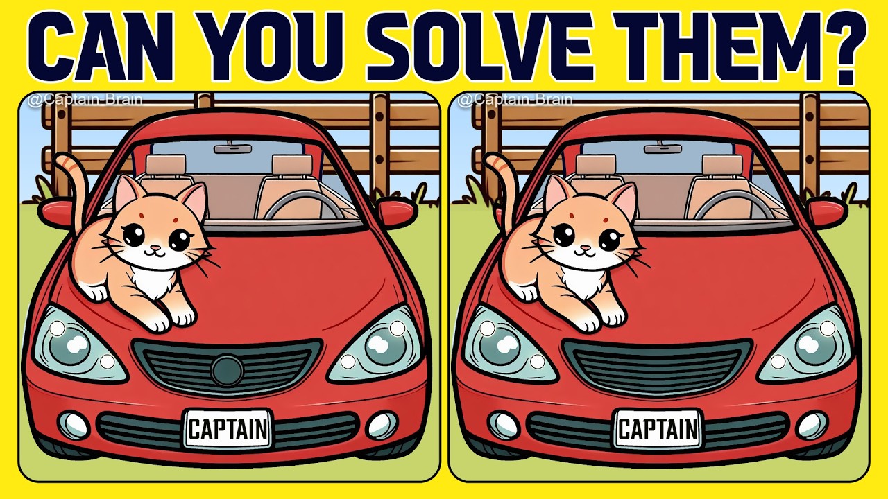 🧠🧩Spot the 3 Differences | Can You Find Them All?  (A Bit Tricky)
