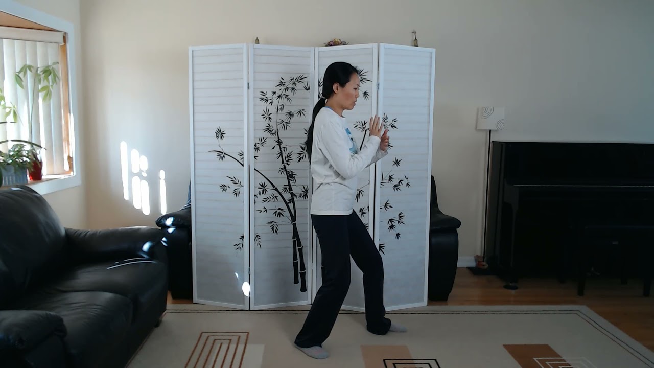Tai Chi Yang Style 37 Form, Movements 1-12 Mirror Image
