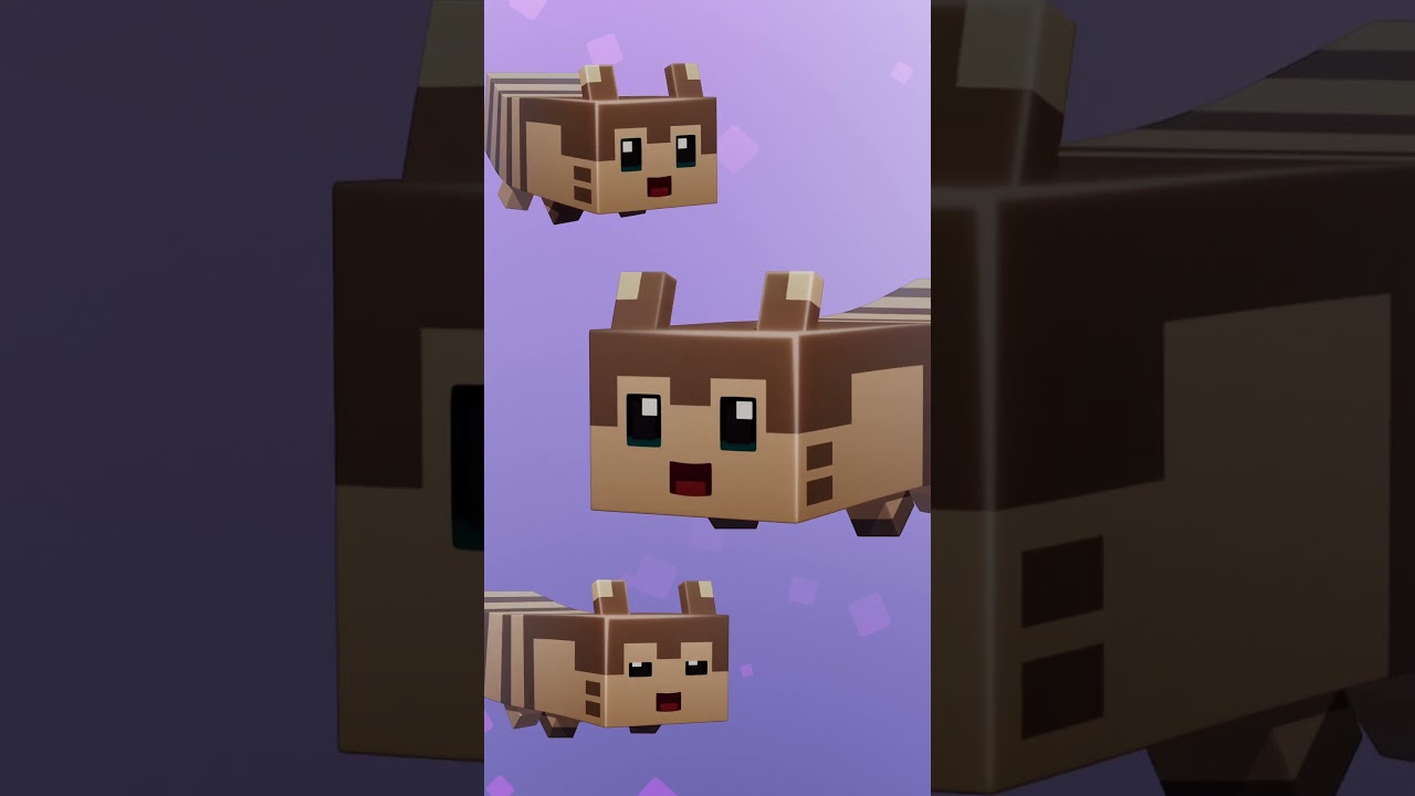 Furret Walks: The Cutest Thing You'll See All Day! #Pokemon #Furret
