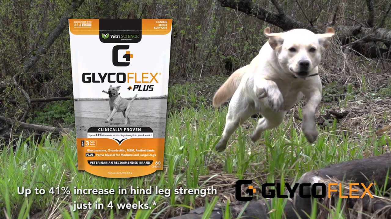 GlycoFLEX® : I am a GlycoFLEX® Dog