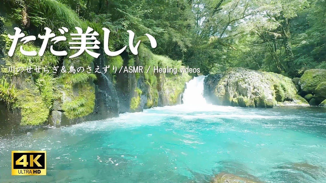 ただ美しい『菊池渓谷』 （BGM:森に響く鳥のさえずり 川の音）自律神経を整える リラクゼーションにご活用ください【自然音,ASMR,4K,relaxing  nature sounds】