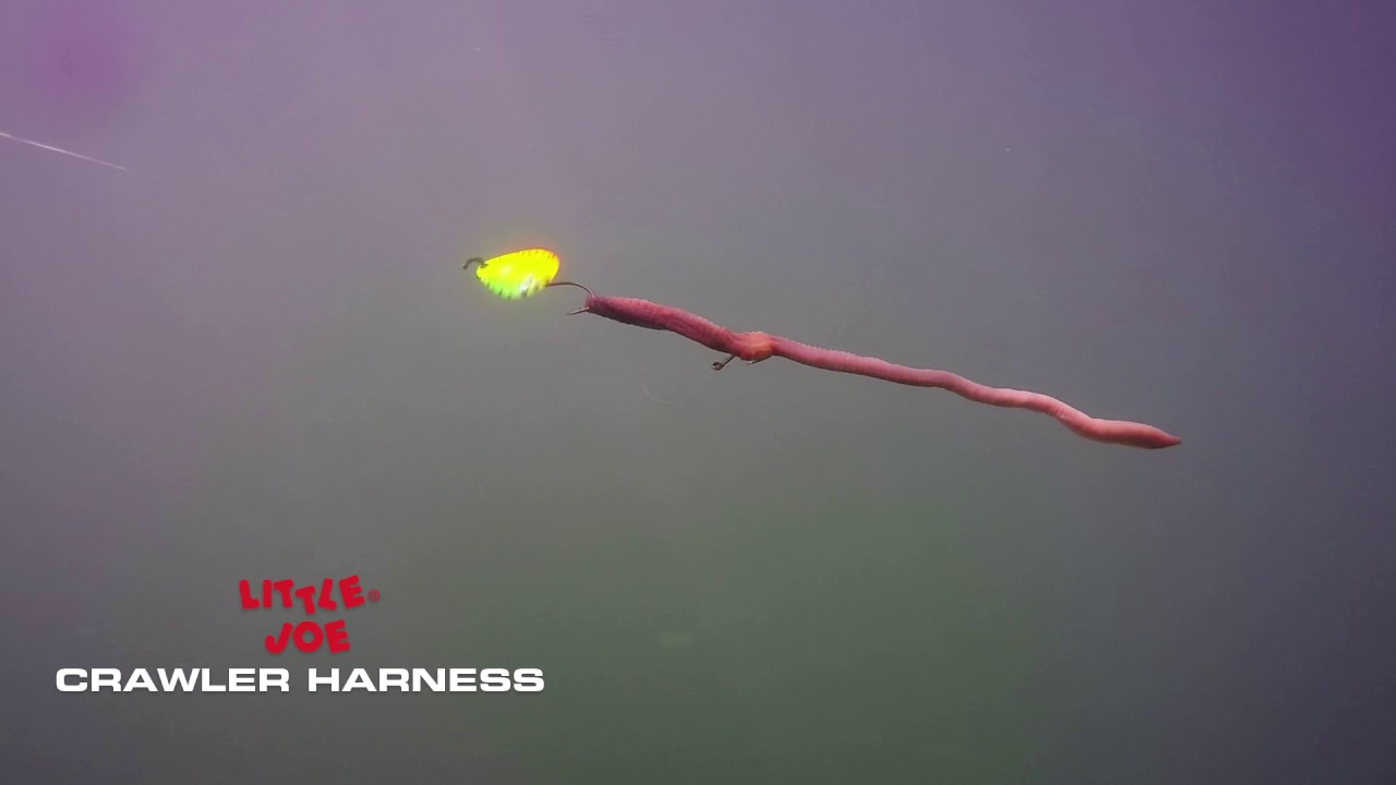 Mid Lake Multi Species