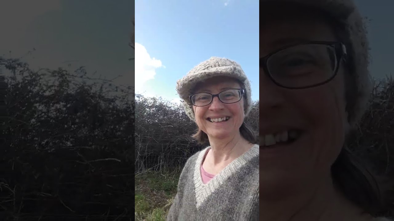 Mindful Walk in Nature Event