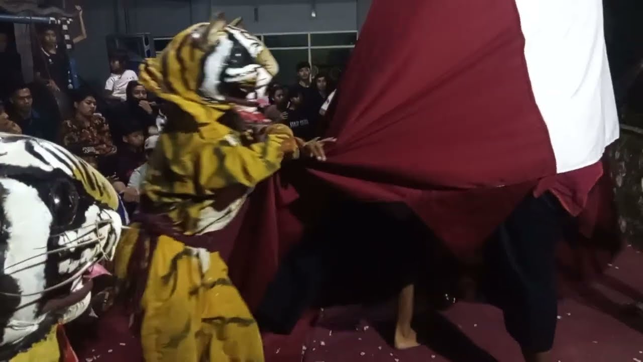 Bantengan Kali sapi... pertunjukan di mulai