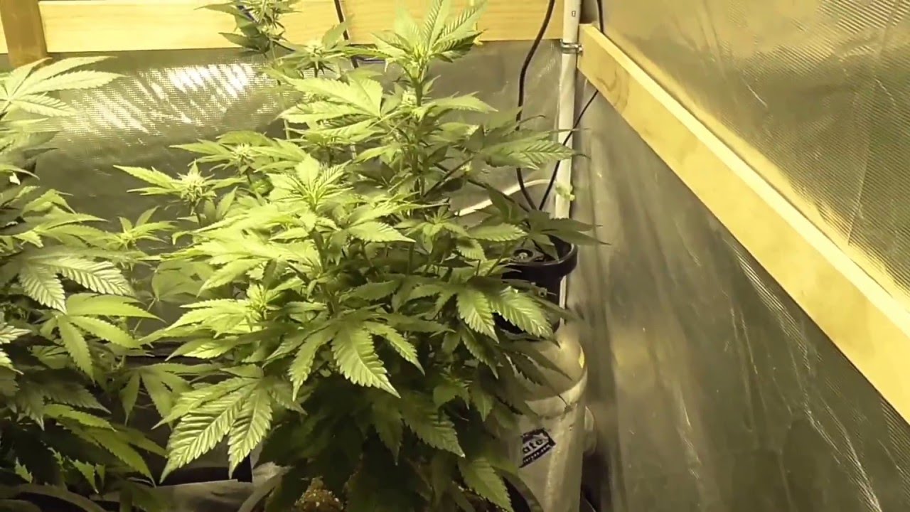 TrimBin, FTB Update 3/7/16