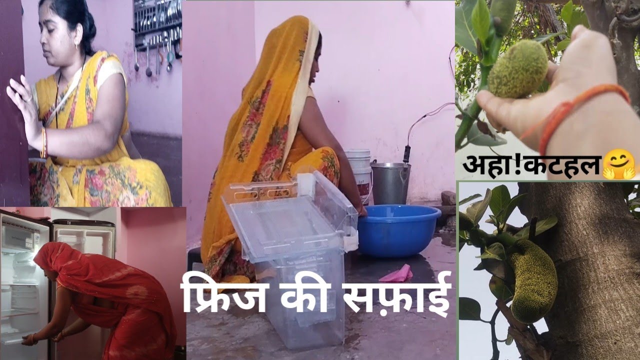 पेड़ में कटहल आ गया दोस्तों🙏फ्रिज की deep cleaning🤷#Day138#archanavlogerjaunpur#housewifelife#