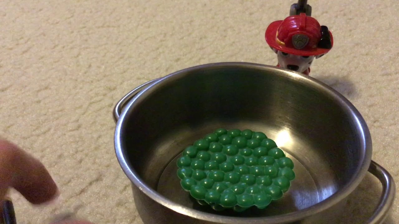 Paw patrol the real story season 1 episode 20 cooking with chase
