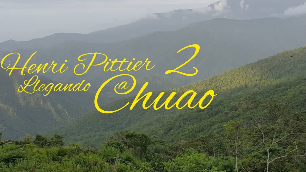 Chuao Maracay  por la montaña 2  Venezuela / Parque nacional Henri Pittier