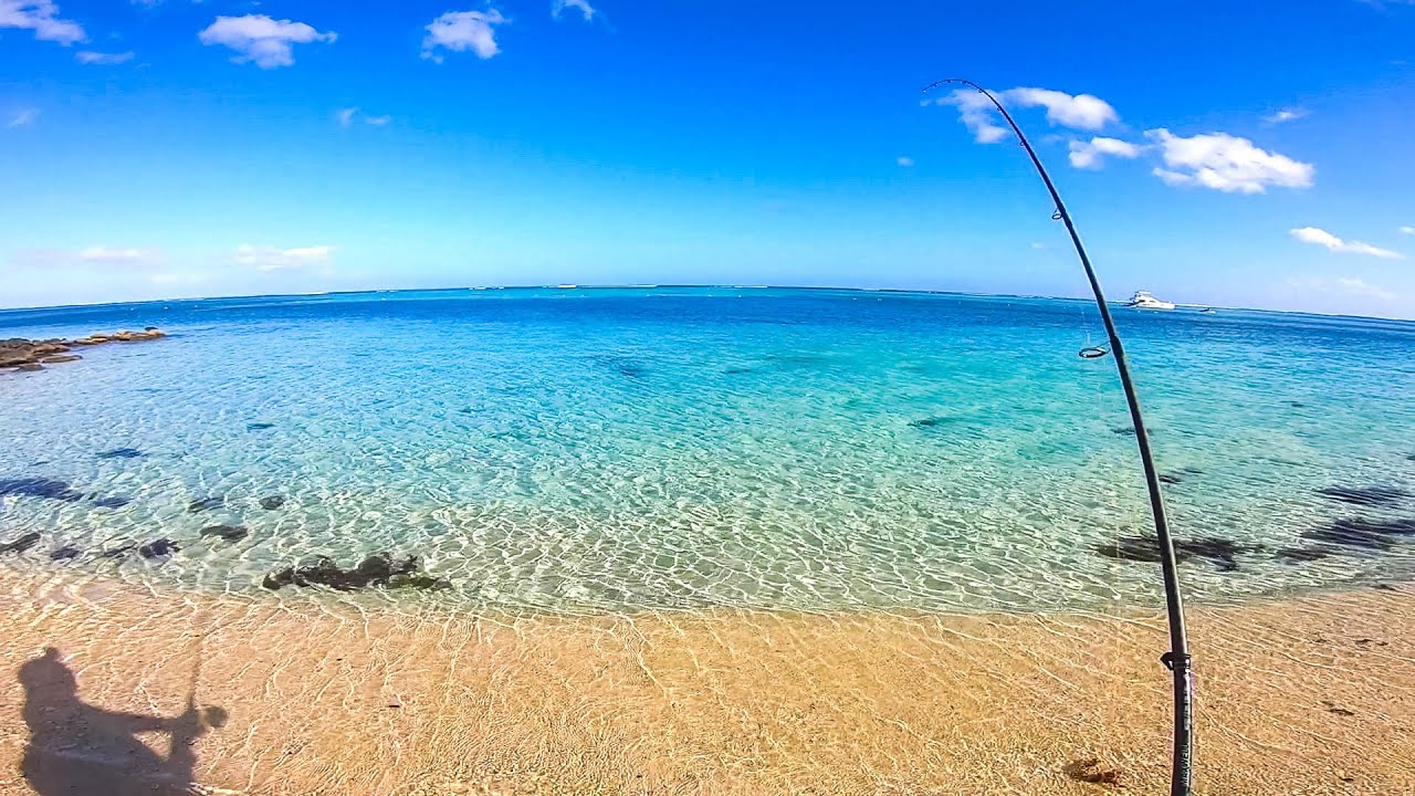LIGHT Tackle FISHING in MAURITIUS. MULTIPLE FISH SPECIES CAUGHT!