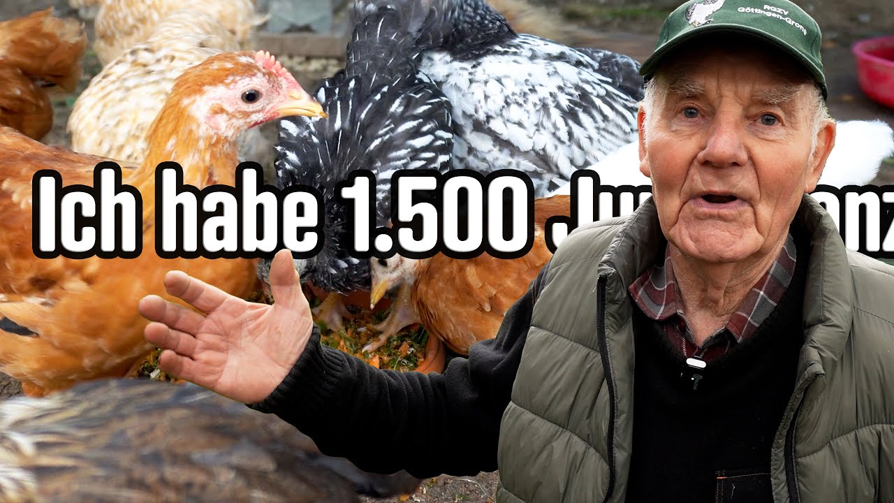 Hühnerrundgang EDU April 2024: Nach Gutdünken